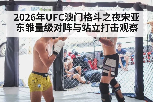 2026年UFC澳门格斗之夜宋亚东雏量级对阵与站立打击观察